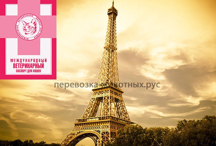 вывоз животных во францию вывоз животных во францию